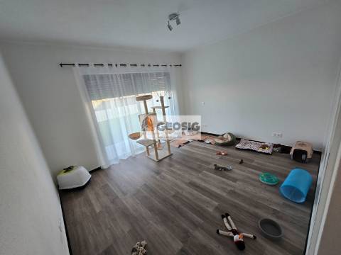 Moradia Isolada T3+1 Venda em Almodôvar e Graça dos Padrões,Almodôvar