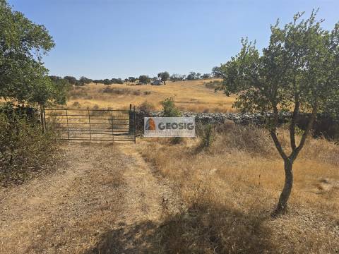 Terreno Rústico  Venda em Santa Cruz,Almodôvar