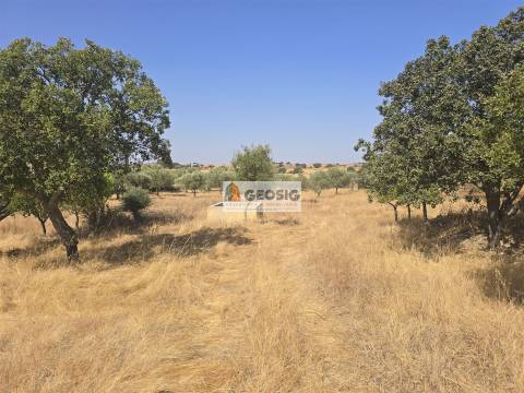 Terreno Rústico  Venda em Santa Cruz,Almodôvar