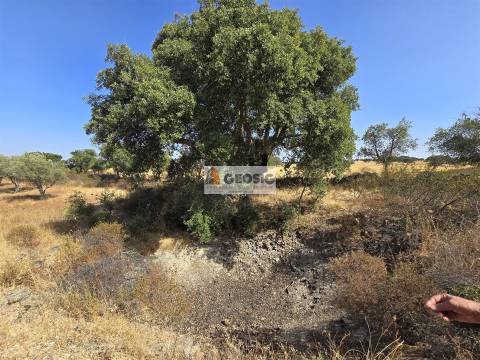 Terreno Rústico  Venda em Santa Cruz,Almodôvar
