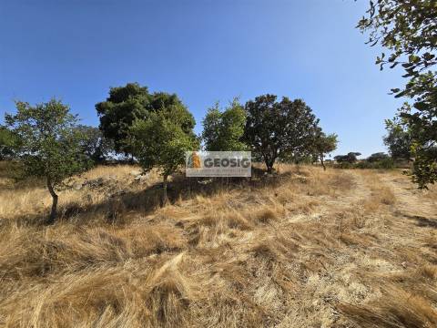 Terreno Rústico  Venda em Santa Cruz,Almodôvar