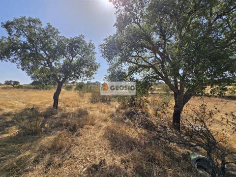 Terreno Rústico  Venda em Santa Cruz,Almodôvar