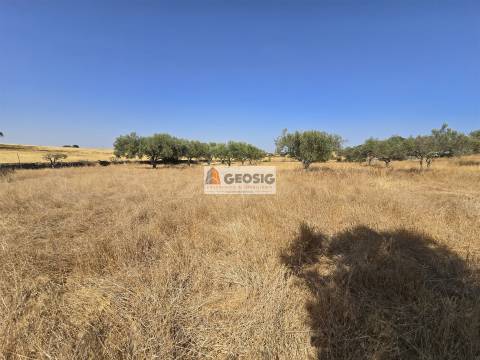 Terreno Rústico  Venda em Santa Cruz,Almodôvar