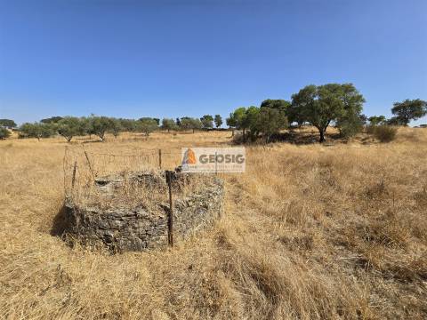 Terreno Rústico  Venda em Santa Cruz,Almodôvar