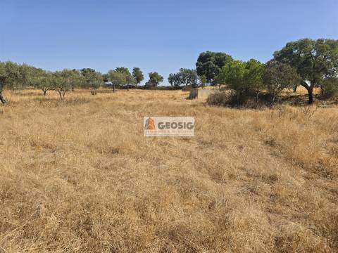 Terreno Rústico  Venda em Santa Cruz,Almodôvar