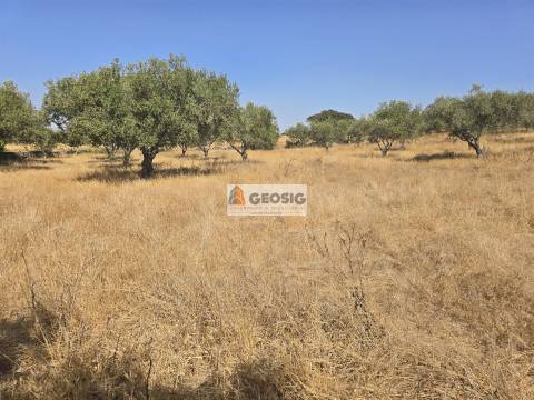 Terreno Rústico  Venda em Santa Cruz,Almodôvar