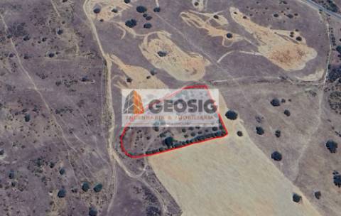 Terreno Rústico  Venda em Santa Cruz,Almodôvar