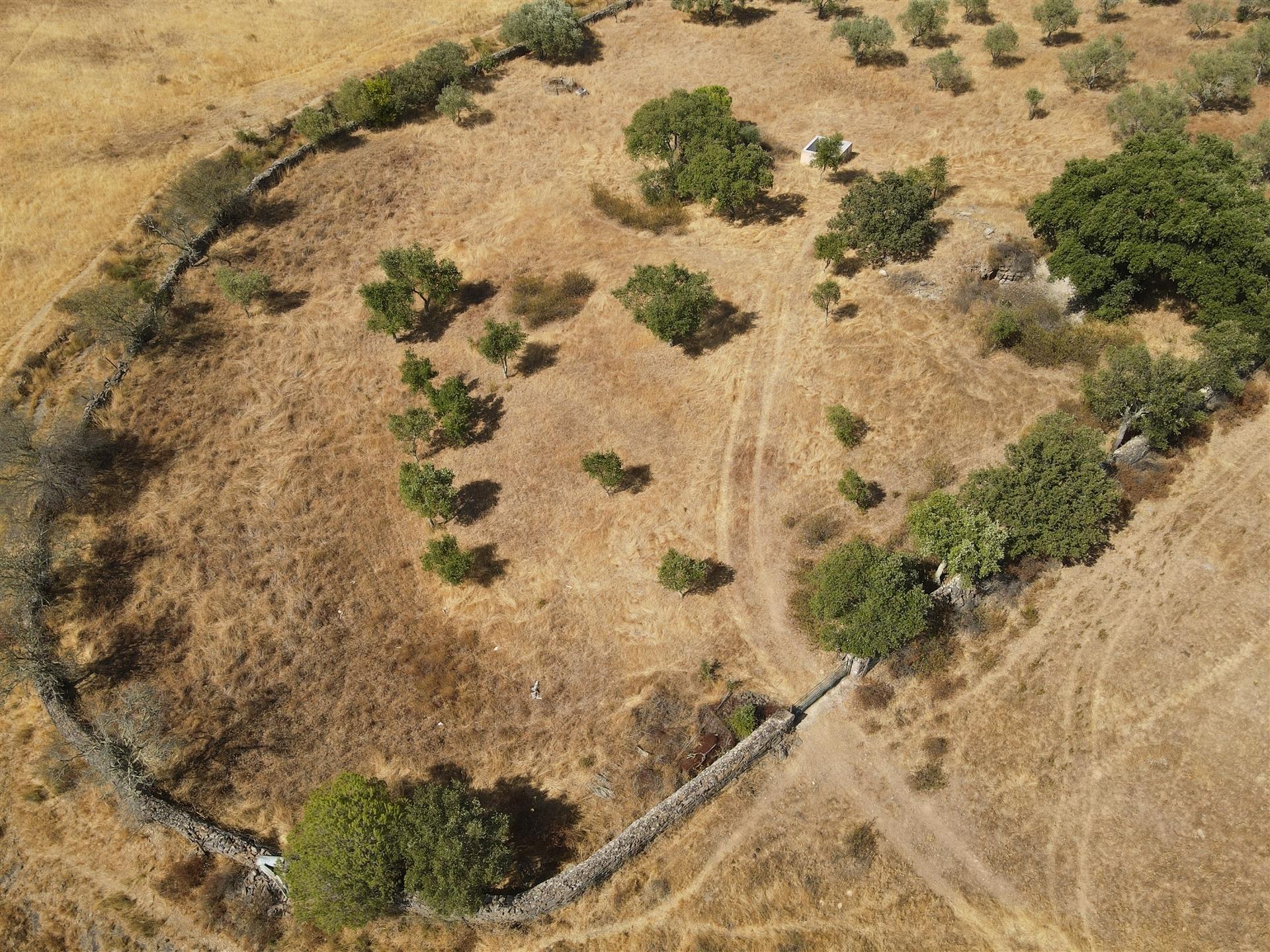 Terreno Rústico  Venda em Santa Cruz,Almodôvar