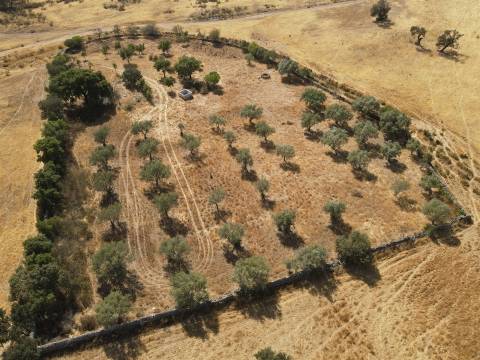 Terreno Rústico  Venda em Santa Cruz,Almodôvar
