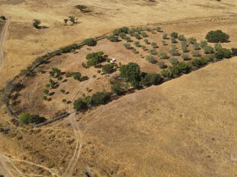 Terreno Rústico  Venda em Santa Cruz,Almodôvar