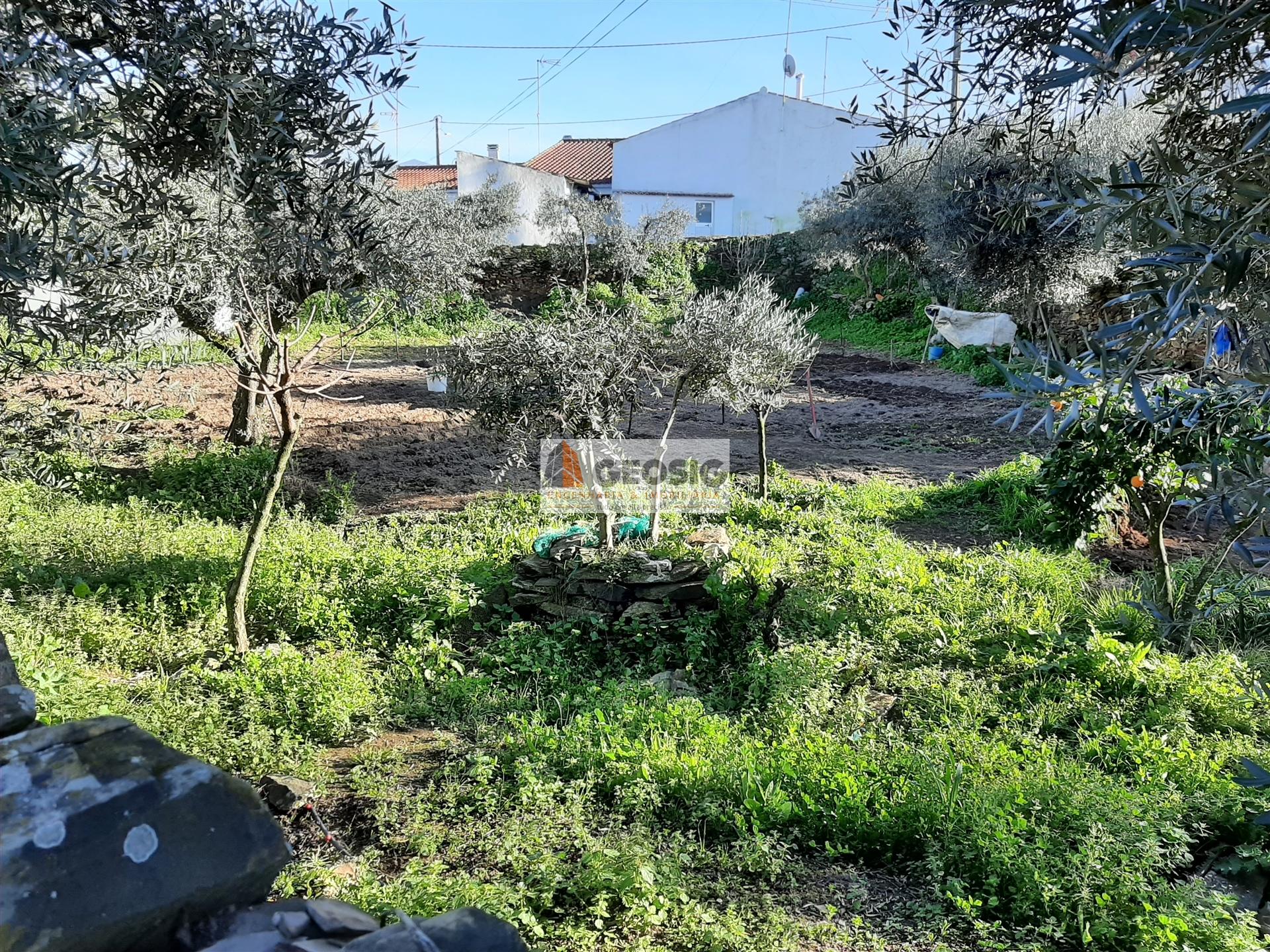 Terreno  Venda em Almodôvar e Graça dos Padrões,Almodôvar