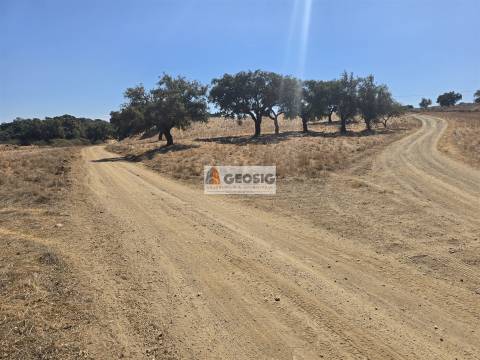 Herdade T5 Venda em Abela,Santiago do Cacém