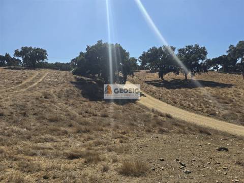 Herdade T5 Venda em Abela,Santiago do Cacém