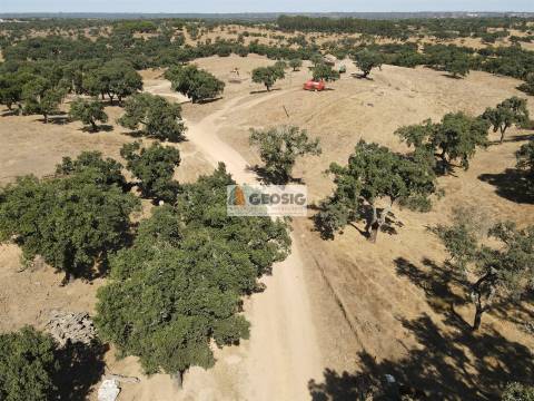 Herdade T5 Venda em Abela,Santiago do Cacém