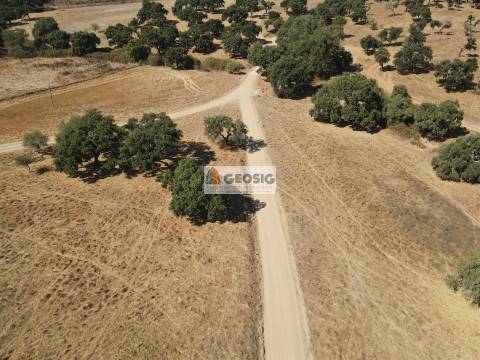 Herdade T5 Venda em Abela,Santiago do Cacém