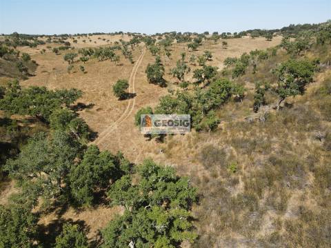 Herdade T5 Venda em Abela,Santiago do Cacém