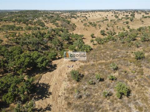 Herdade T5 Venda em Abela,Santiago do Cacém