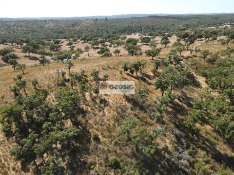 Herdade T5 Venda em Abela,Santiago do Cacém