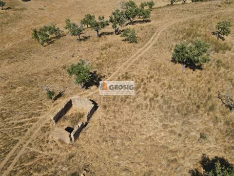 Herdade T5 Venda em Abela,Santiago do Cacém