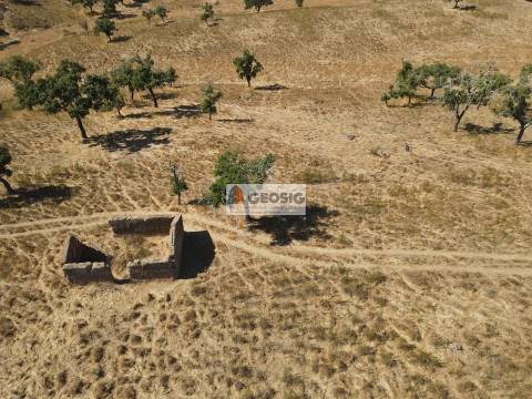 Herdade T5 Venda em Abela,Santiago do Cacém