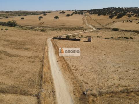 Quinta T4 Venda em Panoias e Conceição,Ourique