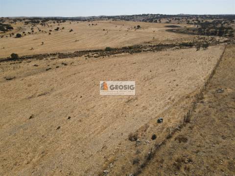 Quinta T4 Venda em Panoias e Conceição,Ourique