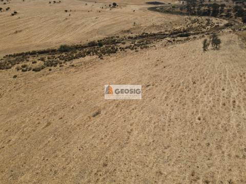 Quinta T4 Venda em Panoias e Conceição,Ourique