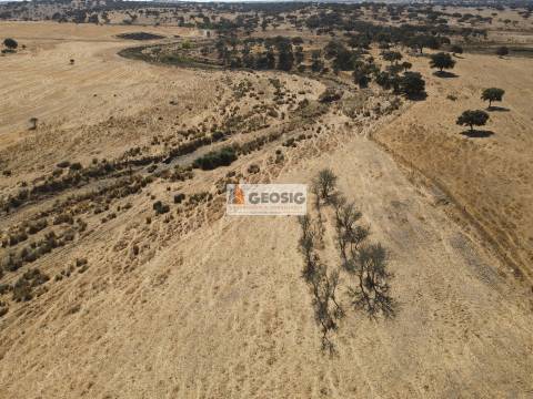 Quinta T4 Venda em Panoias e Conceição,Ourique