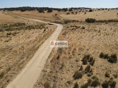 Quinta T4 Venda em Panoias e Conceição,Ourique