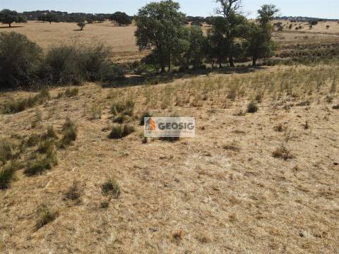 Quinta T4 Venda em Panoias e Conceição,Ourique
