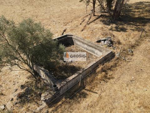 Quinta T4 Venda em Panoias e Conceição,Ourique