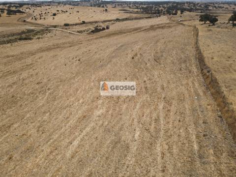 Quinta T4 Venda em Panoias e Conceição,Ourique