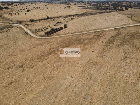 Quinta T4 Venda em Panoias e Conceição,Ourique