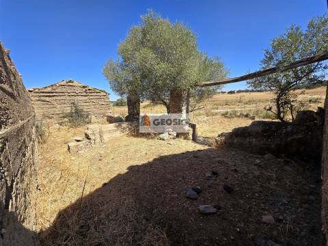 Quinta T4 Venda em Panoias e Conceição,Ourique