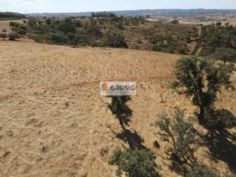 Terreno Rústico  Venda em Garvão e Santa Luzia,Ourique