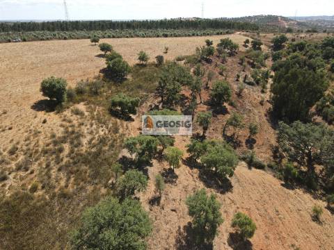 Terreno Rústico  Venda em Garvão e Santa Luzia,Ourique