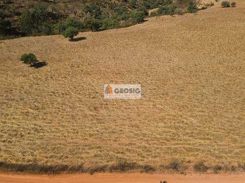 Terreno Rústico  Venda em Garvão e Santa Luzia,Ourique