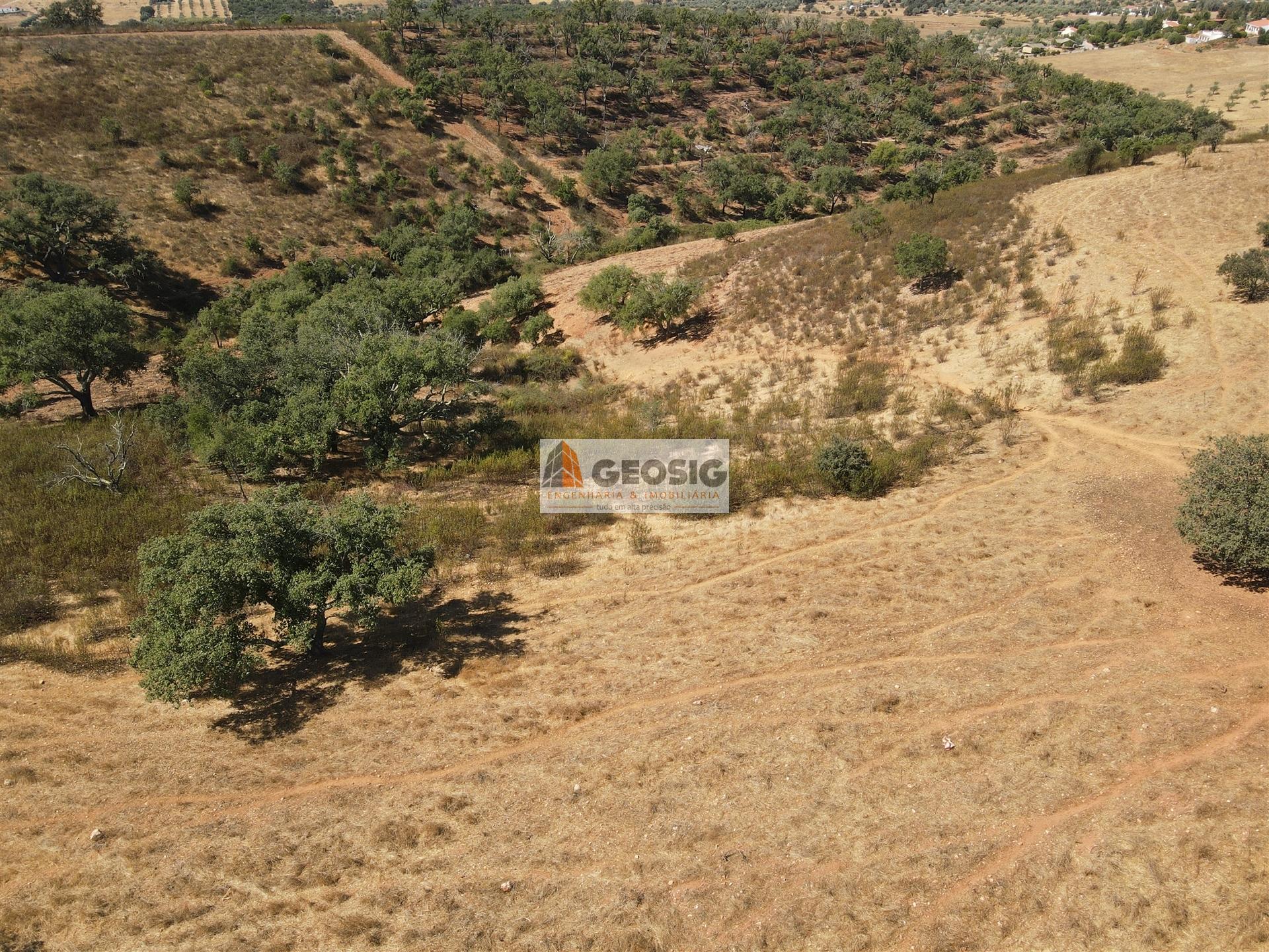Terreno Rústico  Venda em Garvão e Santa Luzia,Ourique