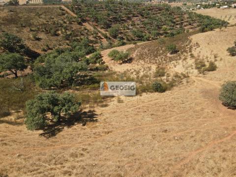 Terreno Rústico  Venda em Garvão e Santa Luzia,Ourique