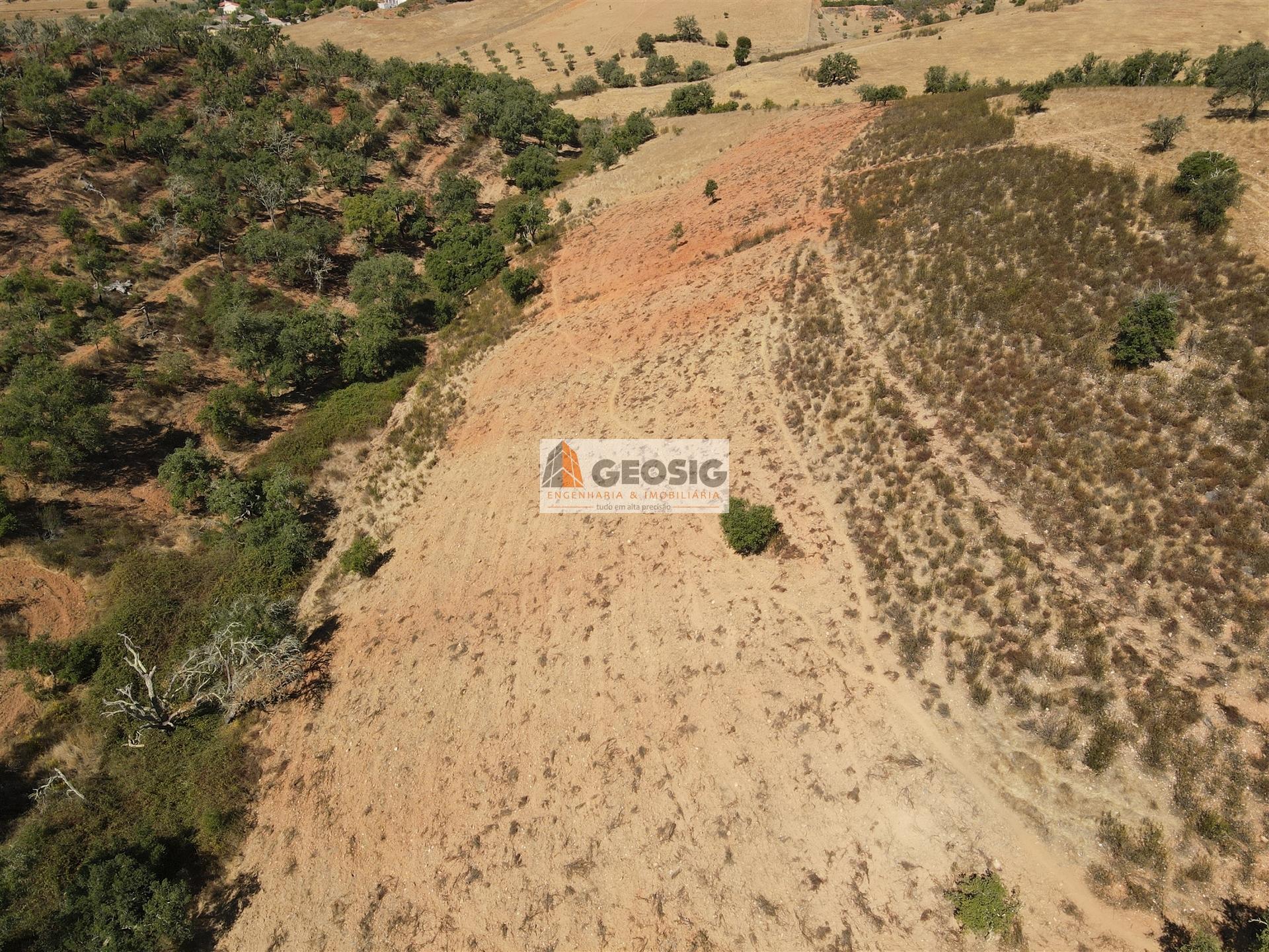 Terreno Rústico  Venda em Garvão e Santa Luzia,Ourique