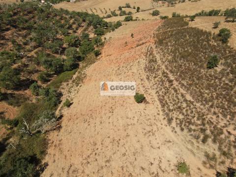 Terreno Rústico  Venda em Garvão e Santa Luzia,Ourique