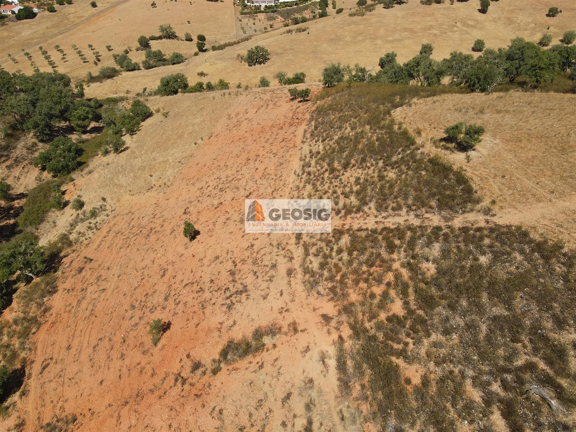 Terreno Rústico  Venda em Garvão e Santa Luzia,Ourique