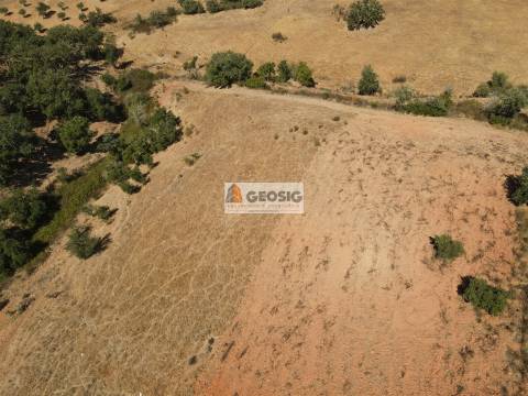 Terreno Rústico  Venda em Garvão e Santa Luzia,Ourique