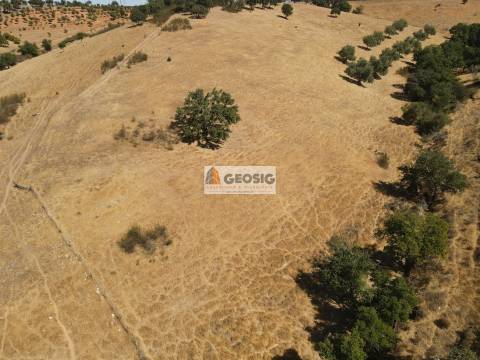 Terreno Rústico  Venda em Garvão e Santa Luzia,Ourique