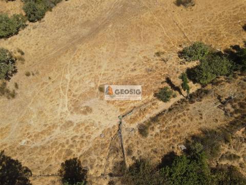 Terreno Rústico  Venda em Garvão e Santa Luzia,Ourique