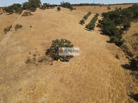Terreno Rústico  Venda em Garvão e Santa Luzia,Ourique