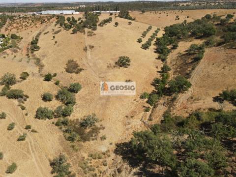 Terreno Rústico  Venda em Garvão e Santa Luzia,Ourique