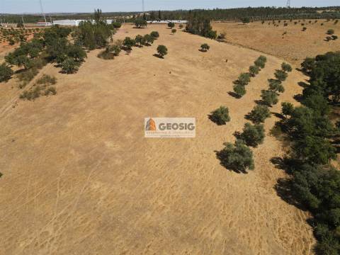 Terreno Rústico  Venda em Garvão e Santa Luzia,Ourique