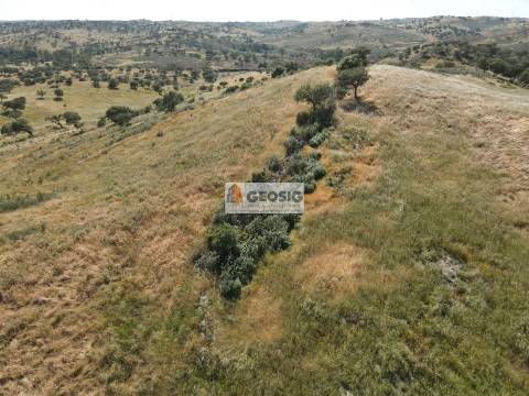 Herdade T3 Venda em Almodôvar e Graça dos Padrões,Almodôvar