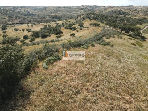 Herdade T3 Venda em Almodôvar e Graça dos Padrões,Almodôvar